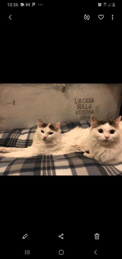 페라라 La Casa Sulla Vecchia Riva 아파트 외부 사진